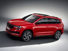 Skoda Karoq greentech business edition 85kW 2024 – afbeelding 6 van 13