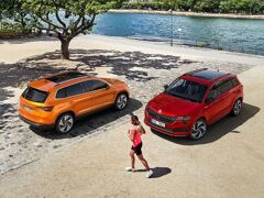 Skoda Karoq greentech business edition 85kW 2024 – afbeelding 13 van 13