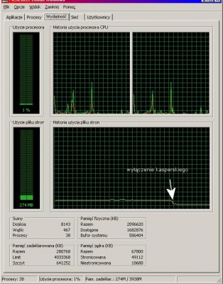 pamiec-wykres-bez kasperskiego.JPG